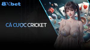 Hướng dẫn cá cược cricket: Từ cơ bản đến nâng cao